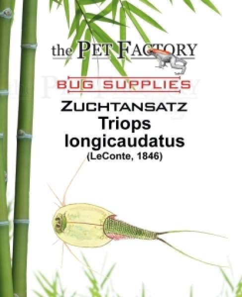 Zuchtansatz Triops longicaudatus